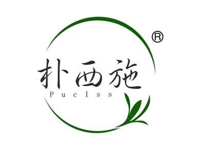 朴西施