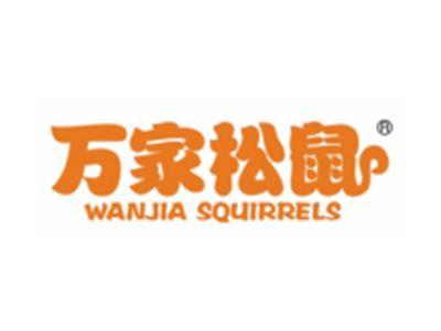 万家松鼠