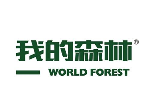 我的森林
