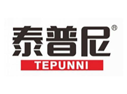 泰普尼