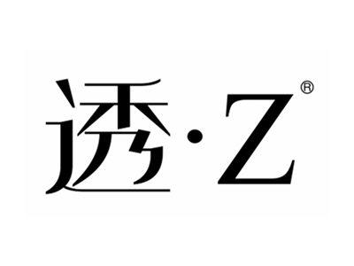 透Z