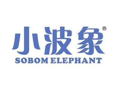 小波象