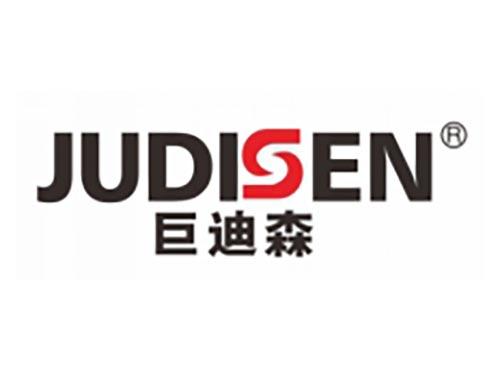 巨迪森
