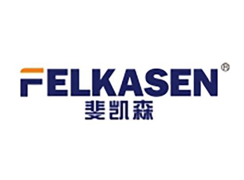 斐凯森