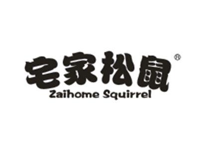 宅家松鼠