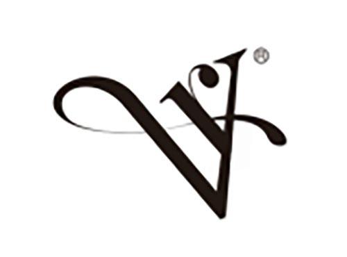 VR