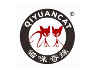 猫咪奇缘