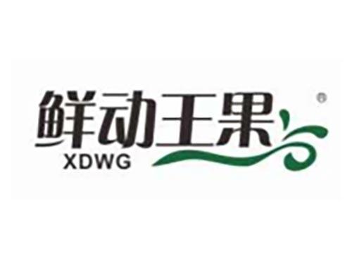 鲜动王果