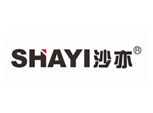 沙亦