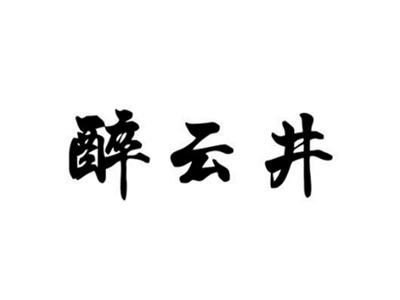 醉云井