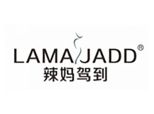 辣妈驾到