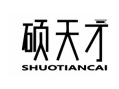 硕天才