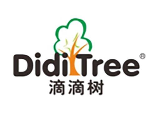 滴滴树
