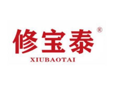 修宝泰