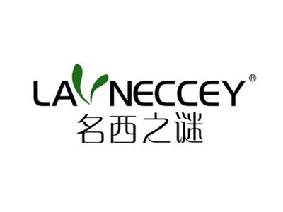 名西之谜