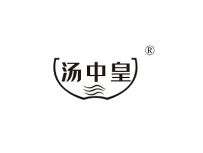 汤中皇