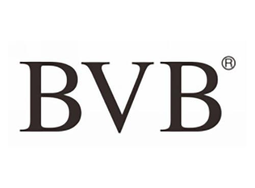 BVB