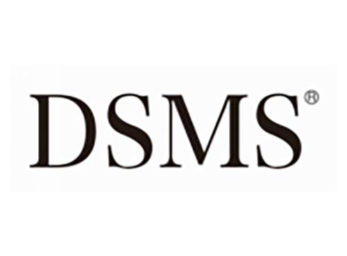 DSMS