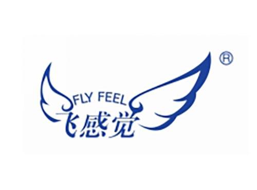 飞感觉