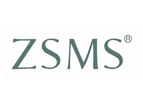 ZSMS