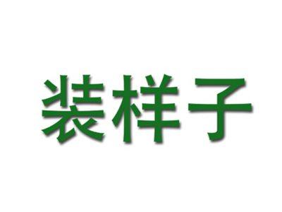 装样子