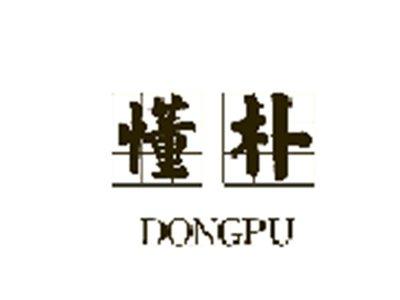 懂朴