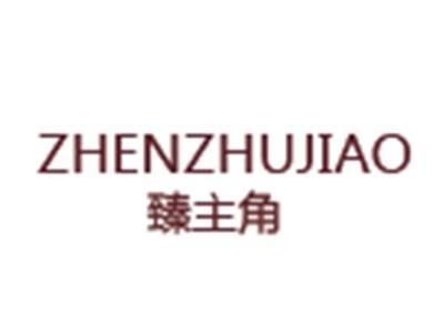 臻主角