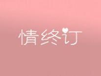 情终订