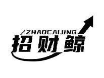 招财鲸ZHAOCAIJING