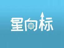 星向标