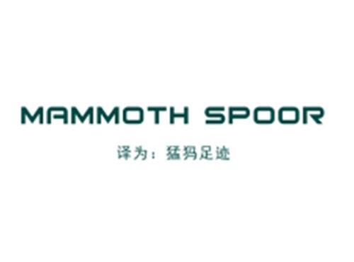 MAMMOTHSPOOR（猛犸象足迹）