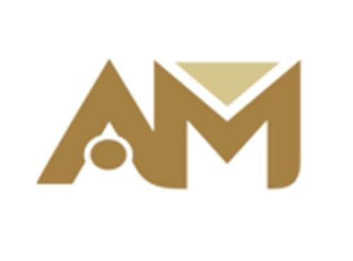 AM图形