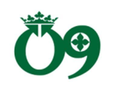 O9图形