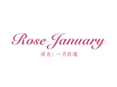 ROSEJANUARY(一月玫瑰)