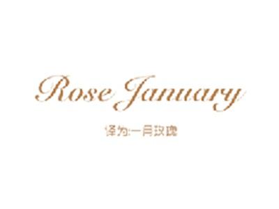 ROSEJANUARY（一月玫瑰）