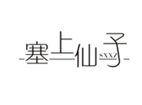 塞上仙子SXXZ