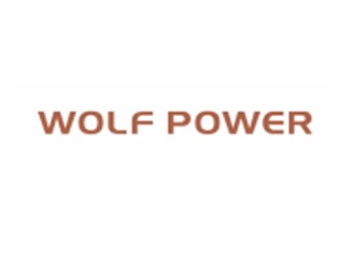 WOLFPOWER（狼力量）