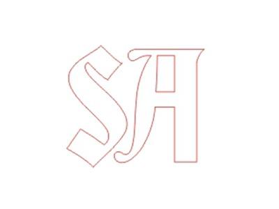 SA图形
