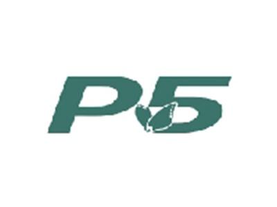 P5