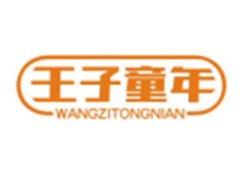 王子童年WANGZITONGNIAN