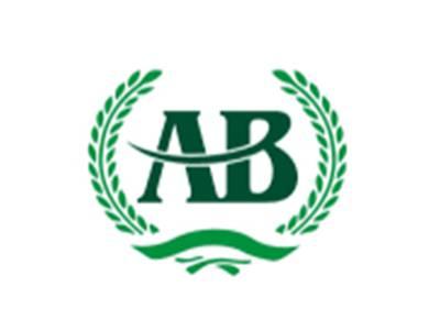 AB图形