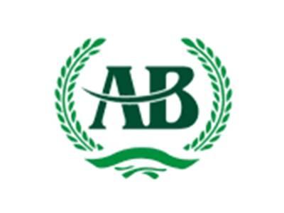 AB图形