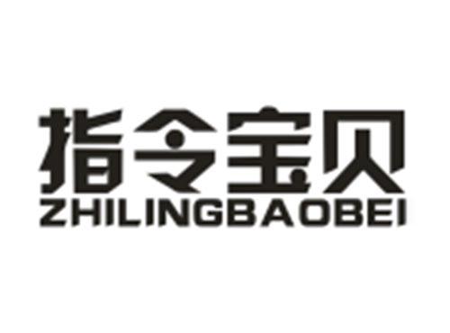 指令宝贝