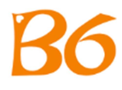 B6
