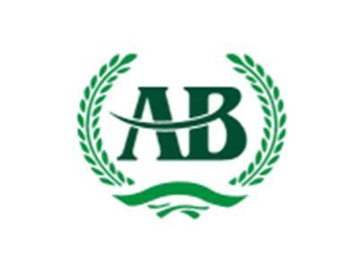 AB图形