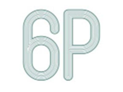6P