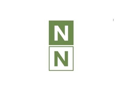 NN图形