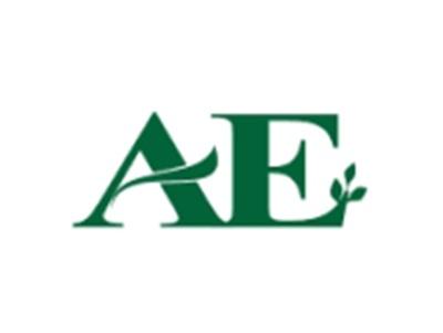 AE图形