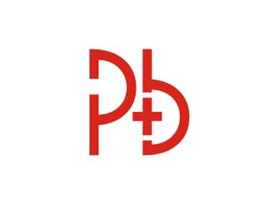 PB图形
