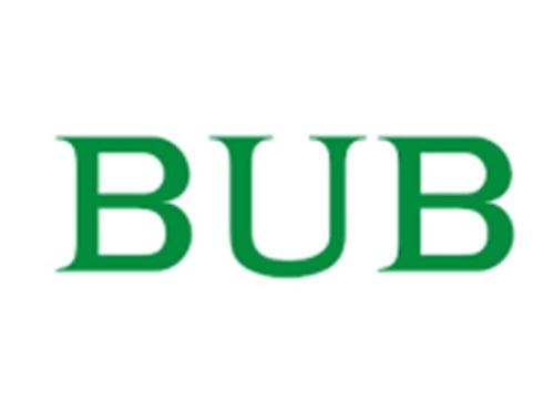 BUB
